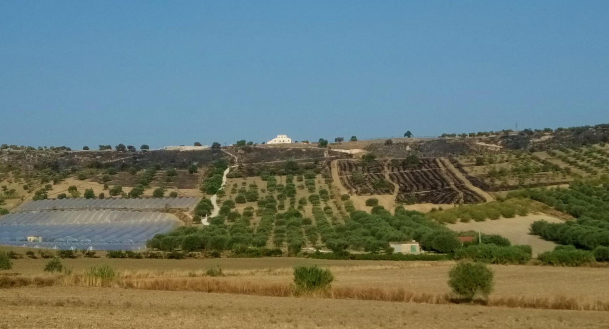 Casale Modica Olivandro מראה חיצוני תמונה